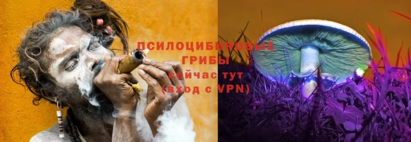 крисы Волоколамск