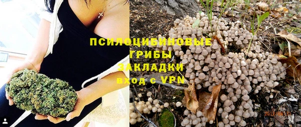 мяу мяу мука Верхний Тагил