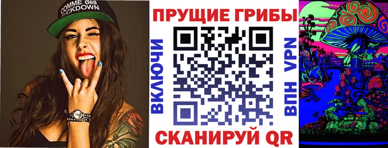 даркнет формула  kraken tor  Калачинск  Псилоцибиновые грибы Cubensis 
